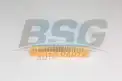 BSG 75135021 Hava Filtresi