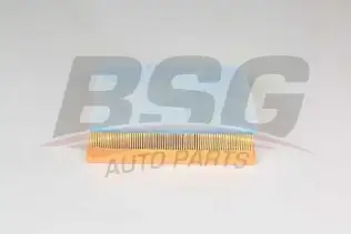 BSG 75135021 Hava Filtresi