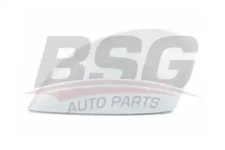 BSG 30915020 Ayna Kapağı Sol