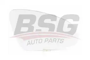 BSG 65910039 Ayna Camı Sağ