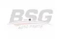 BSG 65700250 Viraj Demir Lastiği Ön