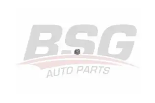 BSG 65700250 Viraj Demir Lastiği Ön