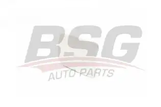 BSG 90910007 Ayna Camı Sağ