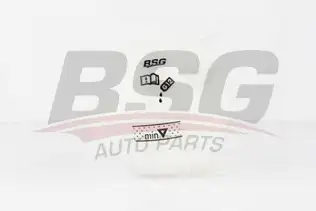 BSG 90550001 Radyatör Yedek Su Deposu