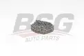 BSG 60105004 Eksantrik Zinciri
