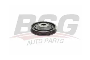 BSG 75170002 Krank Kasnağı