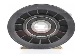 BSG 65615008 V Kayış Gergi Rulmanı