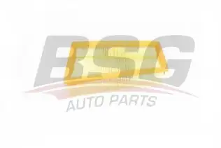 BSG 75135003 Hava Filtresi