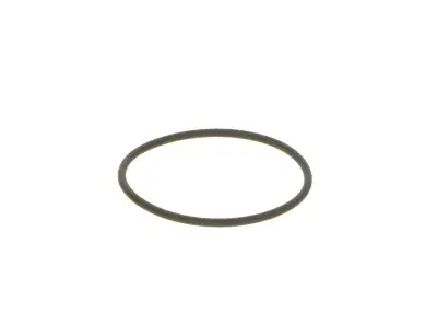 BOSCH F00N201306 O-Ring - 15. Görsel