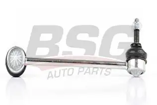 BSG 60310159 Viraj Askı Rotu Ön