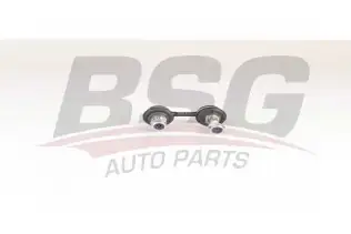 BSG 40310150 Viraj Askı Rotu Ön