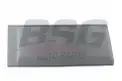 BSG 30924038 Kapı Bandı Arka Sağ
