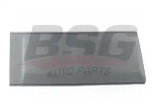 BSG 30924038 Kapı Bandı Arka Sağ