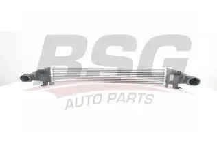 BSG 60535008 Turbo Radyatörü
