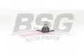 BSG 25310029 Rotil Alt