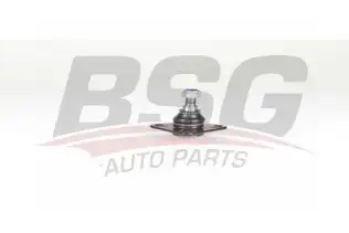 BSG 25310029 Rotil Alt