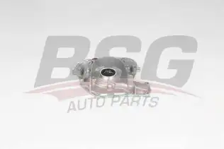BSG 65101007 Yağ Pompası