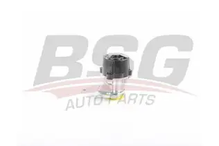 BSG 70235001 Vakum Pompası