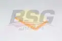 BSG 25135009 Hava Filtresi