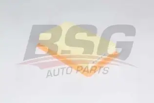 BSG 25135009 Hava Filtresi