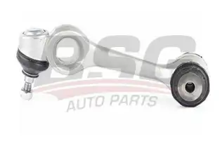 BSG 60310148 Rotilli Kol Üst Sol