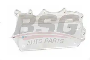 BSG 60506009 Yağ Soğutucusu