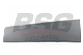 BSG 30924022 Kapı Bandı Takım