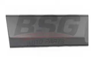 BSG 65925039 Kapı Bandı Arka Sağ