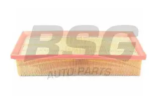 BSG 90135011 Hava Filtresi