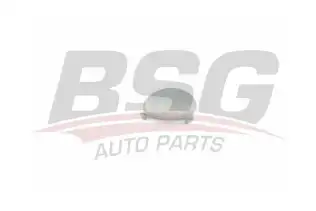BSG 30922156 Çeki Demir Kapağı Arka