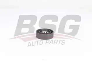 BSG 25615002 V Kayış Gergi Rulmanı