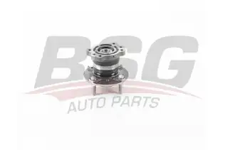 BSG 30605024 Porya Arka