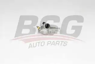 BSG 65126008 Termostat