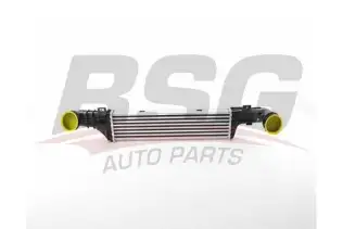 BSG 60535022 Turbo Radyatörü