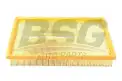 BSG 65135001 Hava Filtresi