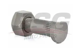 BSG 30230010 Bijon Arka