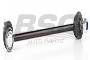 BSG 40310079 Viraj Askı Rotu Ön Sağ