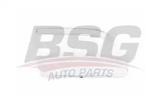 BSG 30801009 Far Camı Sağ