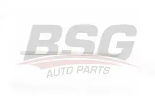 BSG 90924023 Kapı Bandı Arka Sol