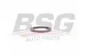 BSG 30116118 Eksantrik Keçesi