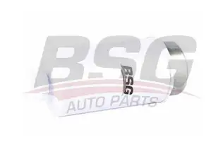 BSG 30130011 Yakıt Filtresi
