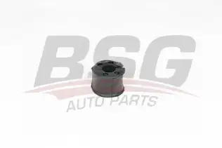 BSG 25700076 Viraj Demir Lastiği Ön