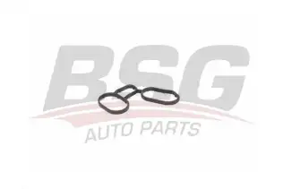 BSG 15116007 Yağ Filtre Hazne Contası