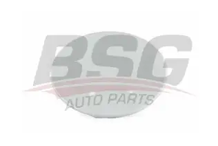 BSG 65922058 Çeki Demir Kapağı Ön