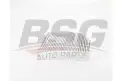 BSG 60145020 Polen Filtresi