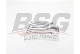 BSG 60145020 Polen Filtresi