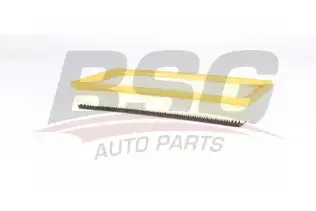 BSG 70135015 Hava Filtresi