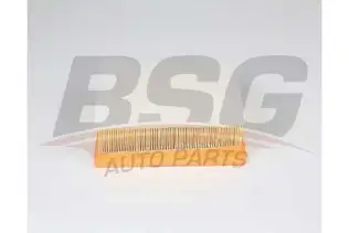 BSG 15135017 Hava Filtresi