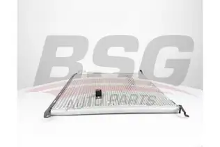 BSG 60525019 Klima Radyatörü