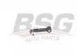 BSG 15310193 Viraj Askı Rotu Arka